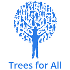 trees for all teambuilding Glasgow